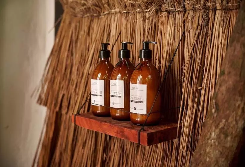 Hotelli Kapok Bacalar – Plant Based