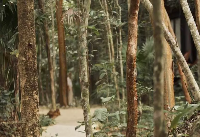 Hotelli Kapok Bacalar – Plant Based