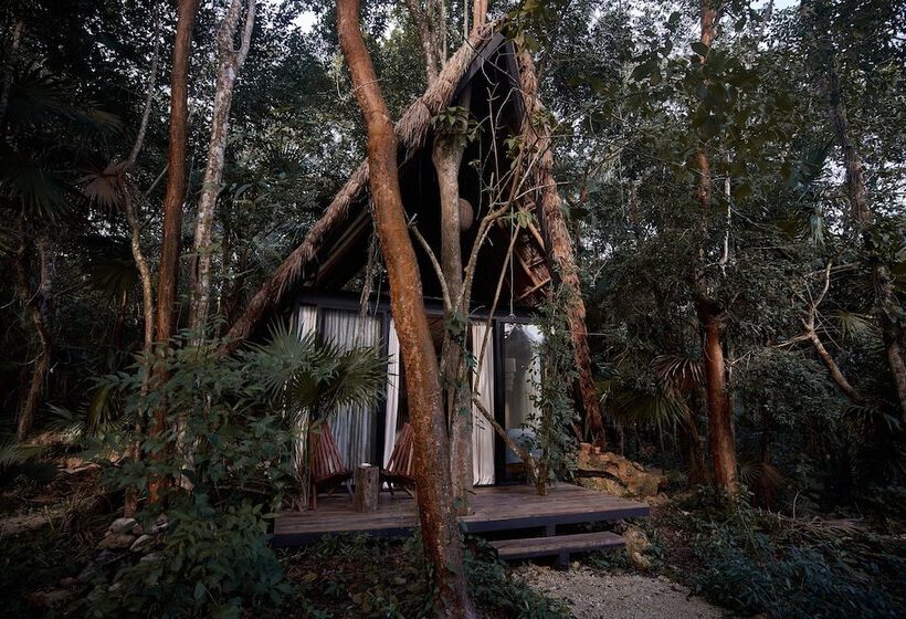 בית מלון כפרי Kapok Bacalar – Plant Based