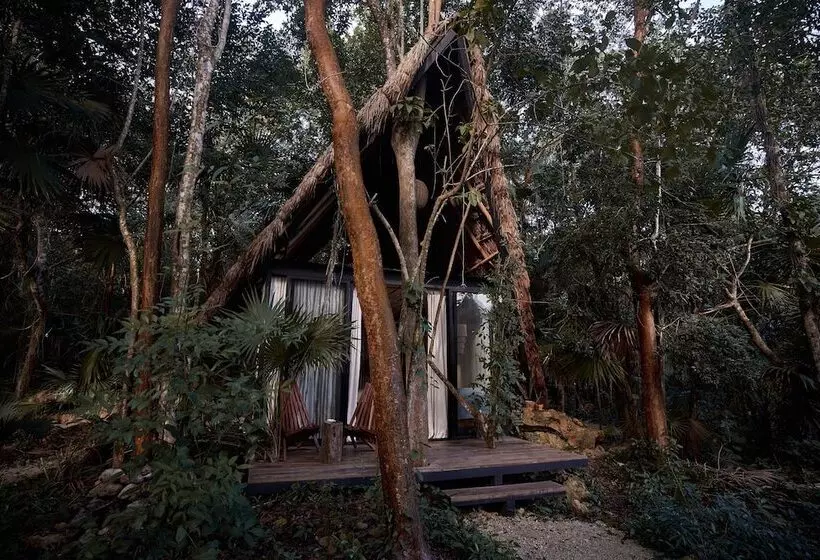 Hotelli Kapok Bacalar – Plant Based