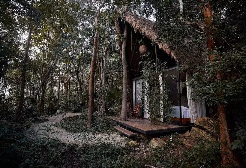 Hotelli Kapok Bacalar – Plant Based