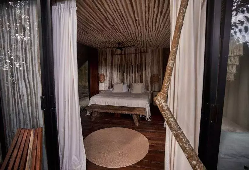 Hotelli Kapok Bacalar – Plant Based