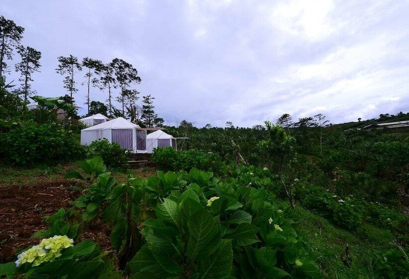 田舎風ホテル Alam Kita Glamping & Plantation