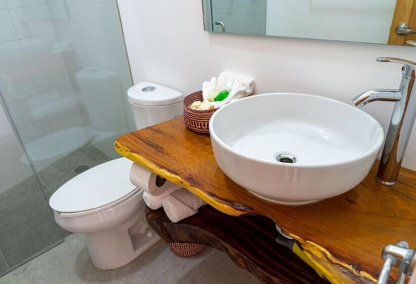 Отель Santa Cecilia