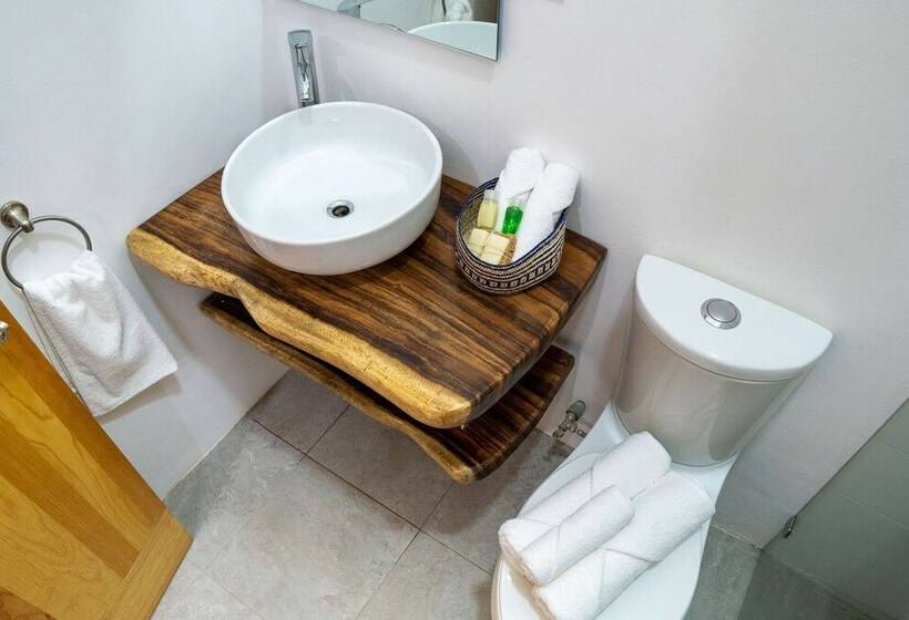 Отель Santa Cecilia