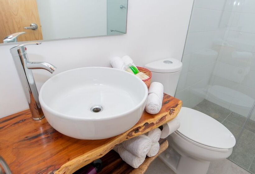 Отель Santa Cecilia