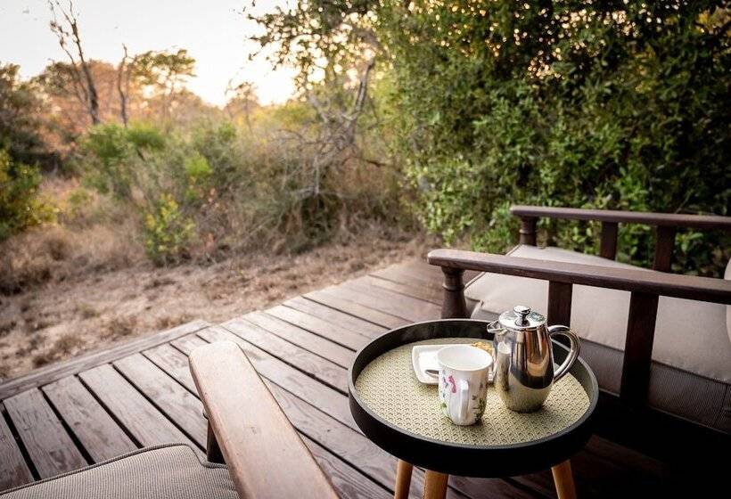 호텔 Shimungwe Lodge