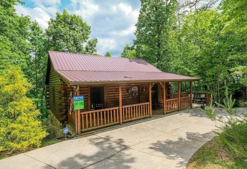 Jackson S Starry Nite Sky #217