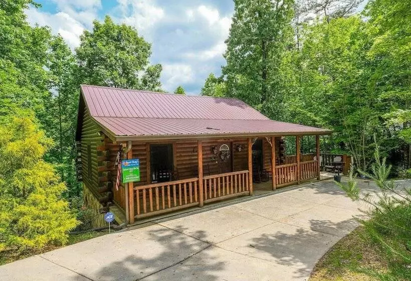 Jackson S Starry Nite Sky #217