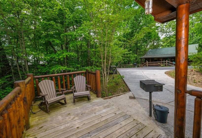 Jackson S Starry Nite Sky #217