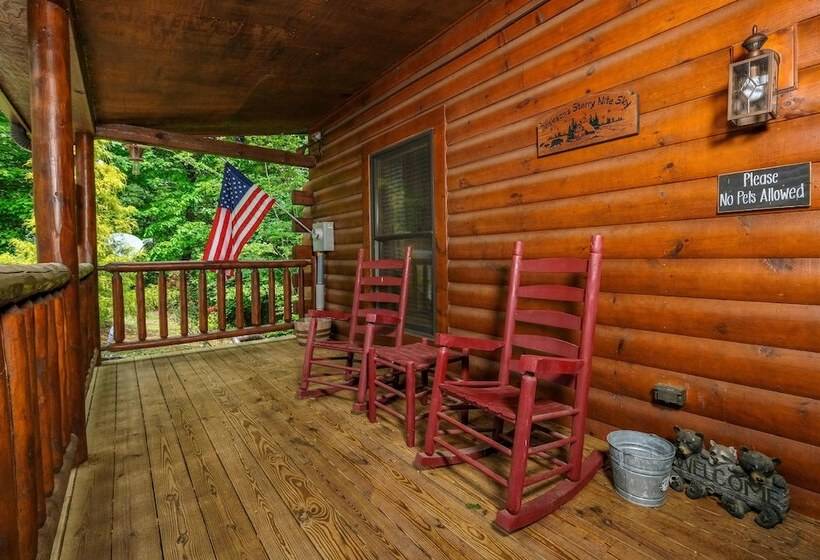 Jackson S Starry Nite Sky #217