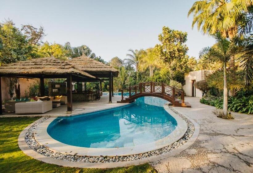 تختخواب و صبحانه Villas D Egypte Boutique Stay Cairo