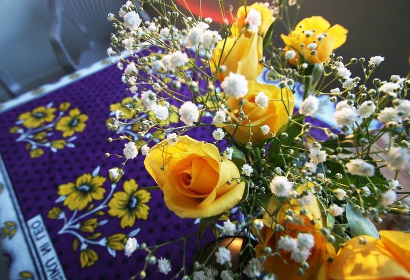 1109 The Decks At 67 Long Street