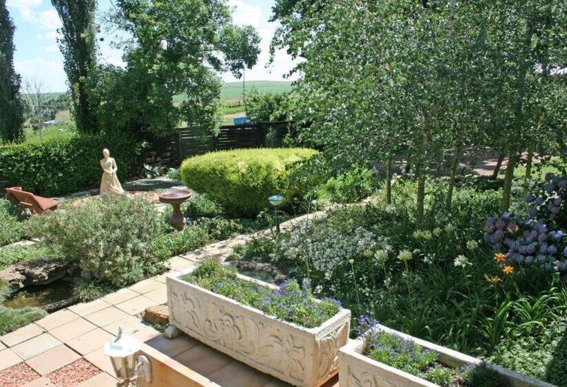 Bed and Breakfast Drinkwater Guest Farm