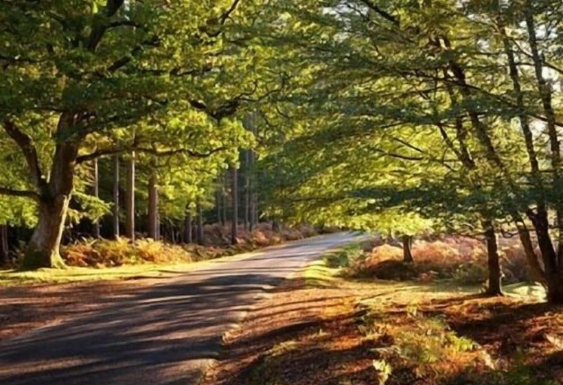 Beddoe Apartments Premier Lodge Eastleigh Near Winchester And Southampton