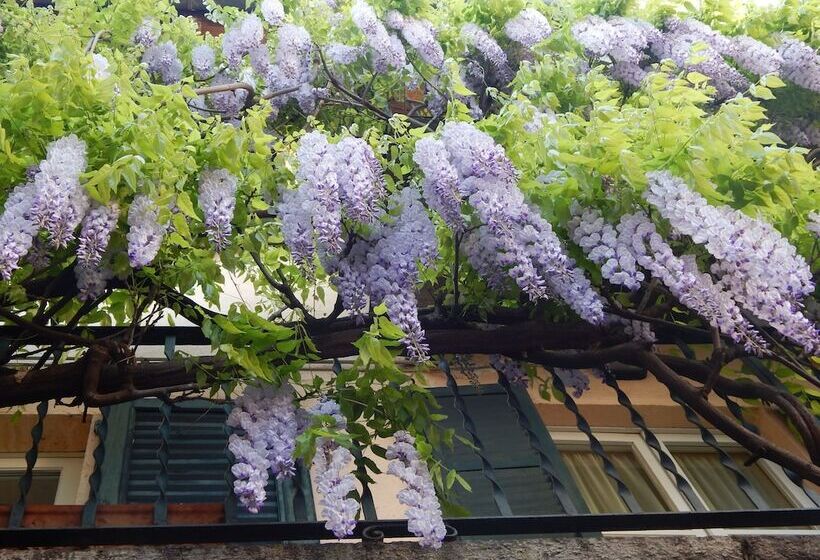 פונדק Mamma Ciccia