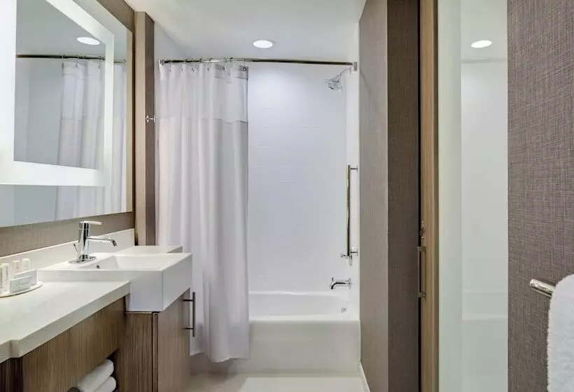 ホテル Springhill Suites By Marriott Oklahoma City Midwest City Del City
