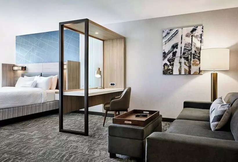 ホテル Springhill Suites By Marriott Oklahoma City Midwest City Del City