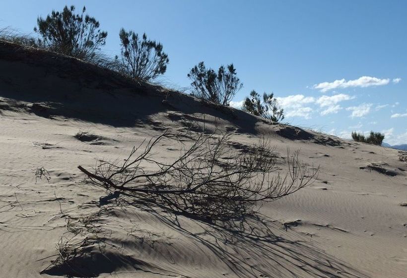 פנסיון Augusta Bay Guest House