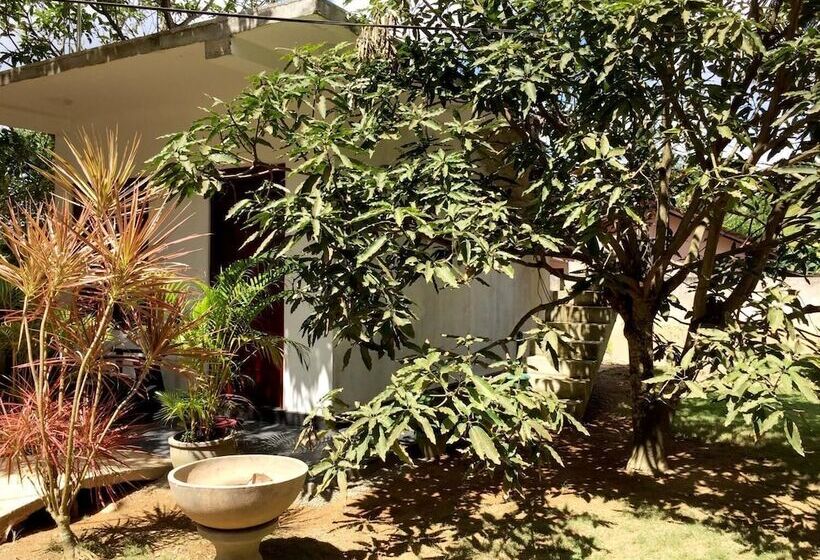 Pension Damith Tourist Inn