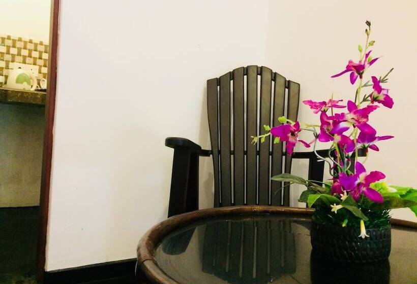 Pension Damith Tourist Inn