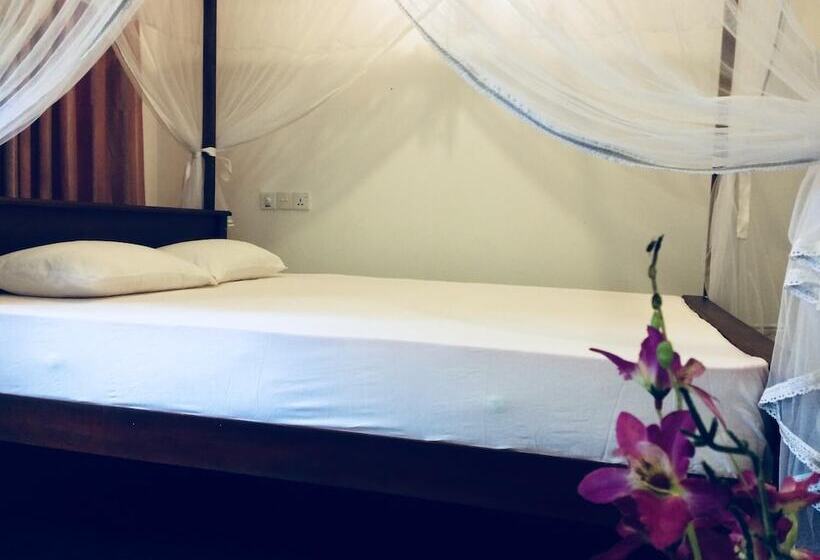 Pension Damith Tourist Inn