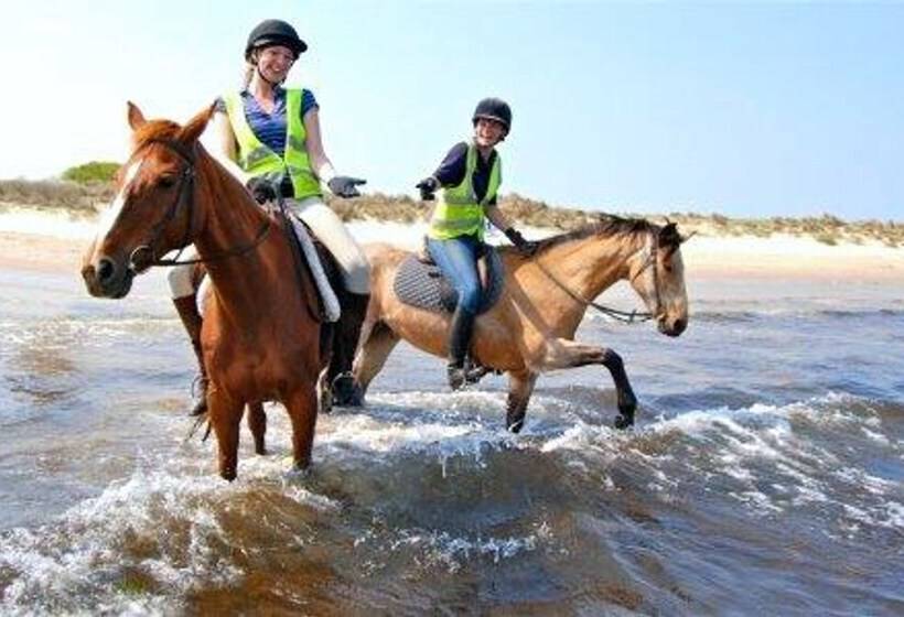 פנסיון Dio Dellamore Guest House