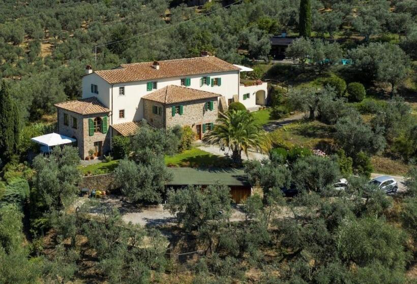 פנסיון Olive Tree Suites Farmstay Villa