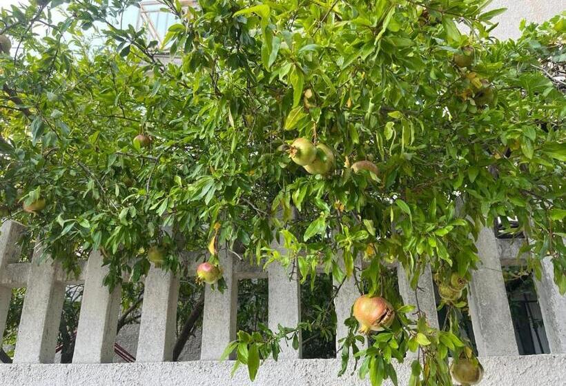 Bed and Breakfast Nuoro Suite