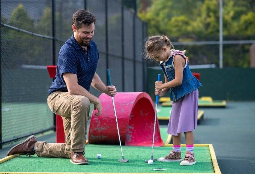 Мотель Hillside Lodge