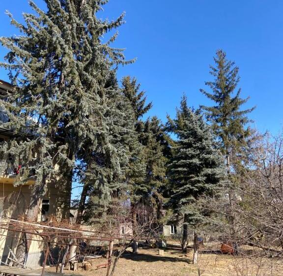 Pensjonat Yeghevni Guest House In Odzun