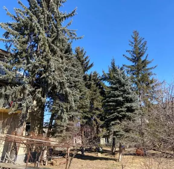 Majatalo Yeghevni Guest House In Odzun