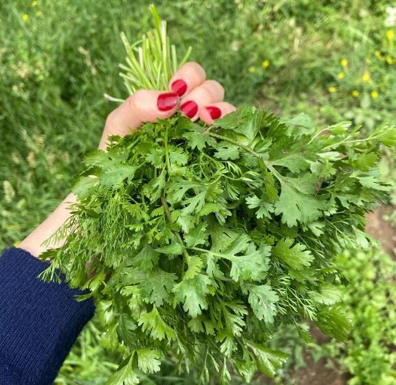 Pensjonat Yeghevni Guest House In Odzun