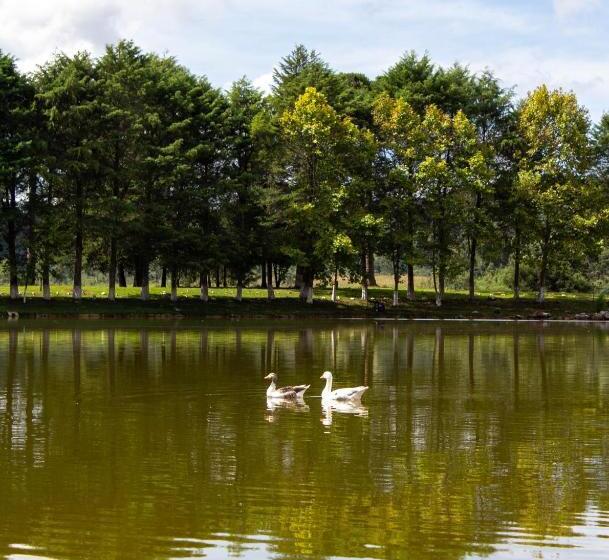 Отель Goldmen Select Guarapuava