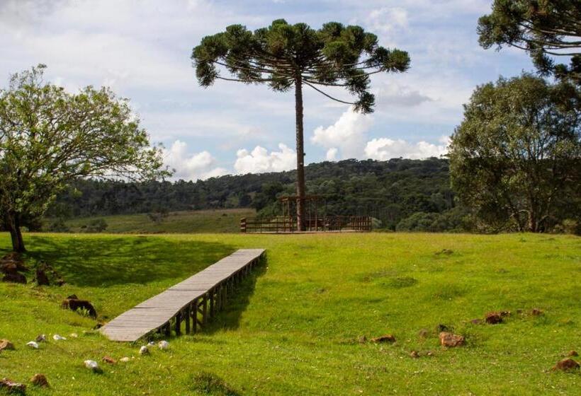 Отель Goldmen Select Guarapuava