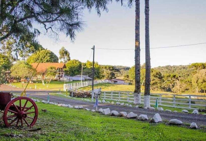 Отель Goldmen Select Guarapuava