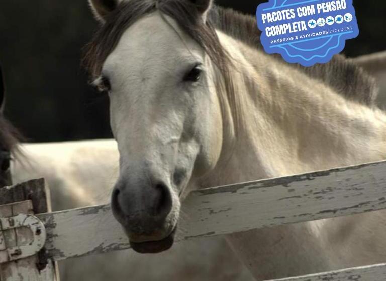 Отель Goldmen Select Guarapuava