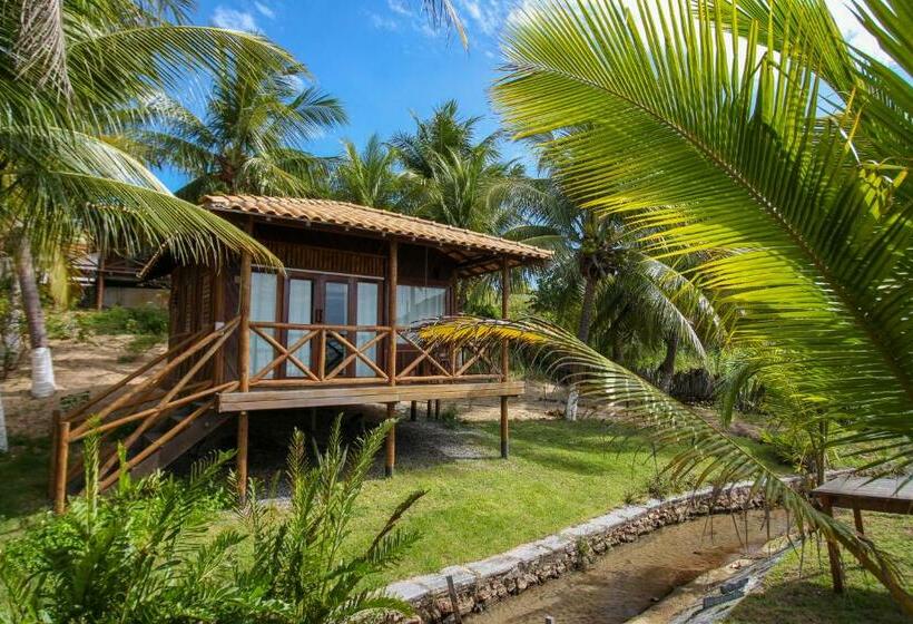 酒店 Pousada Palm Beach Praia De Caetanos