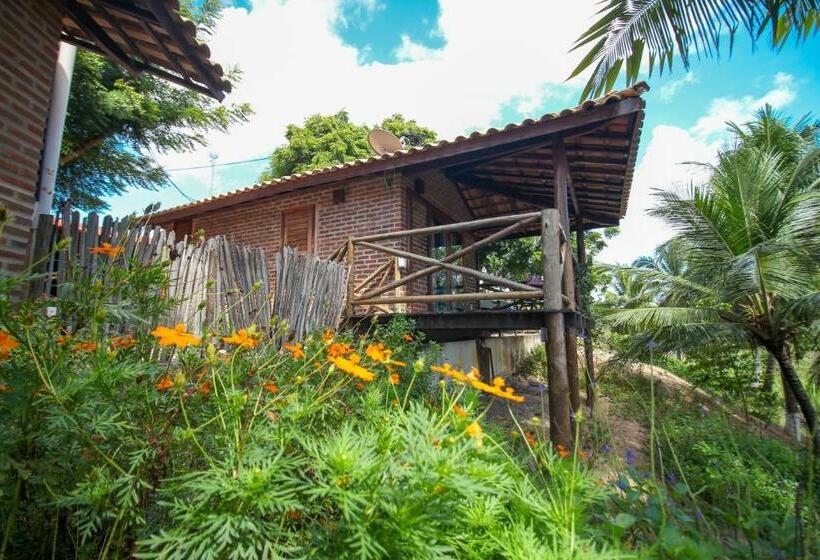 酒店 Pousada Palm Beach Praia De Caetanos