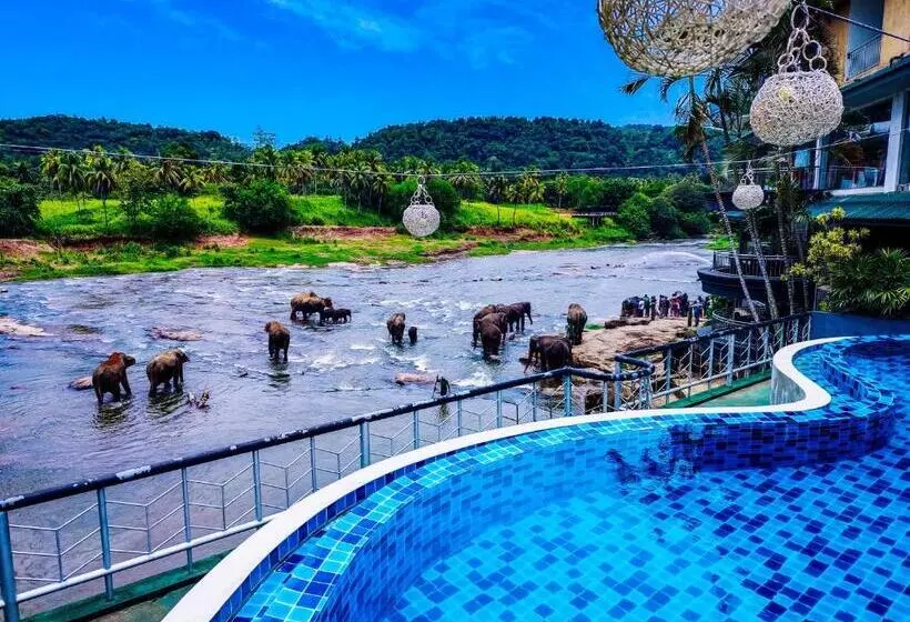 Aamiaismajoitus (B&B) Peacock Village Pinnawala