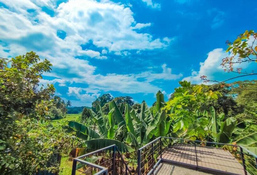 Bed and Breakfast Peacock Village Pinnawala