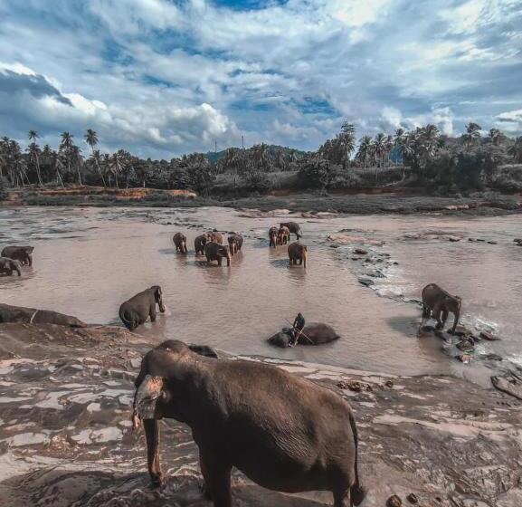 Aamiaismajoitus (B&B) Peacock Village Pinnawala