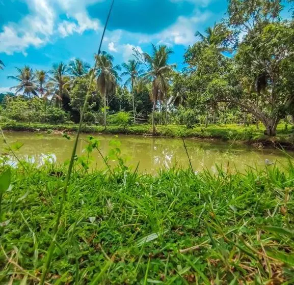 Aamiaismajoitus (B&B) Peacock Village Pinnawala