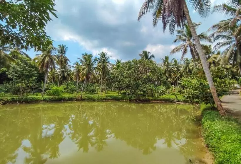 Aamiaismajoitus (B&B) Peacock Village Pinnawala