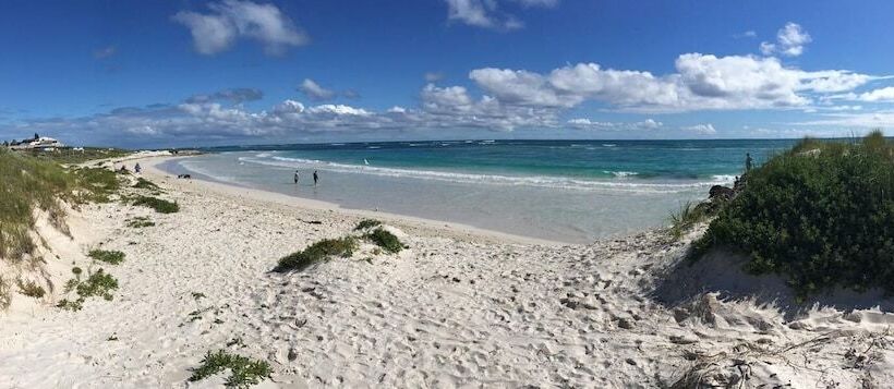 リゾートホテル Big 4 Tasman Holiday Parks   Ledge Point