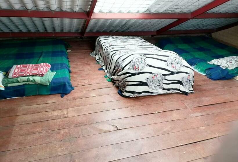 ユースホステル Viedonaire