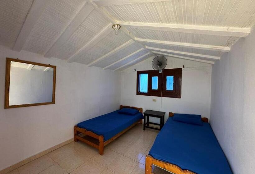 Seven Heaven Hotel And Diving Center