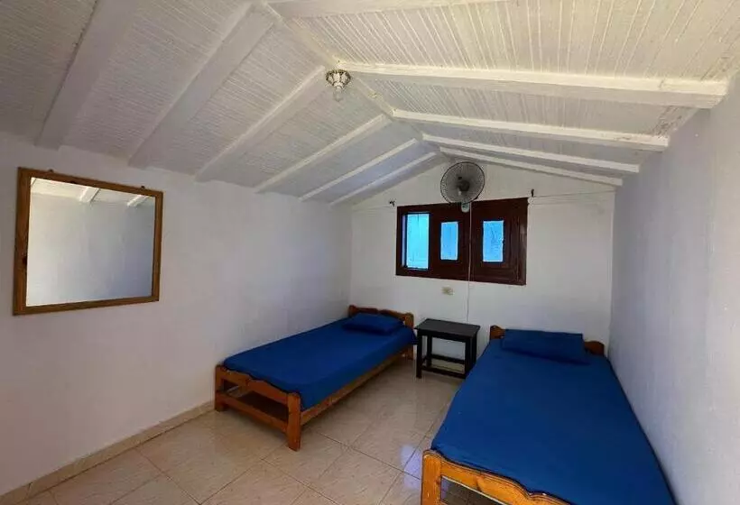 Seven Heaven Hotel And Diving Center