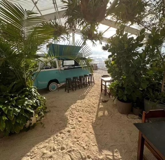 Ginos Dushi Secret For 8 People