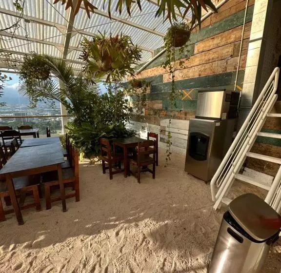 Ginos Dushi Secret For 8 People